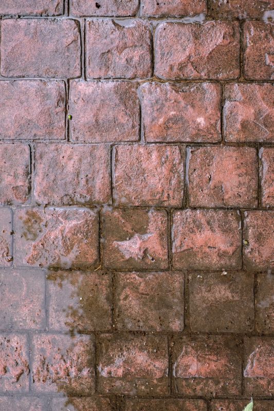 Decorative Concrete Repair in Cape Coral, FL