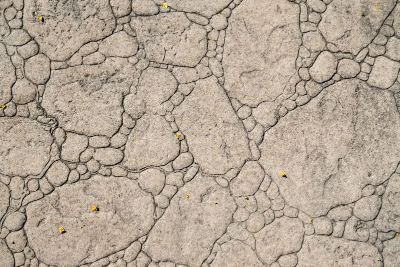 Decorative Concrete Repair in Fort Myers, FL