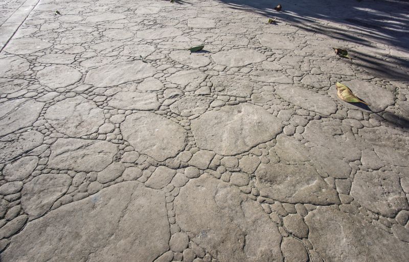 Decorative Concrete Repair in Essex County, NJ